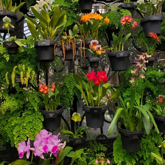 Profile Picture of Alice Macartney (@amacartn) on Poshmark