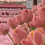 Profile Picture of Gisel Rivera (@giselrivera5992) on Youtube