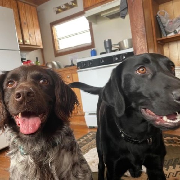 Profile Picture of Monique Schichtle (@mfschichtle) on Poshmark