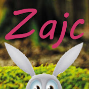 Profile Picture of Zajc (@zajc1970) on Youtube