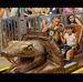 Profile Picture of Daniel Timmons (@daniel.timmons.5030) on Facebook
