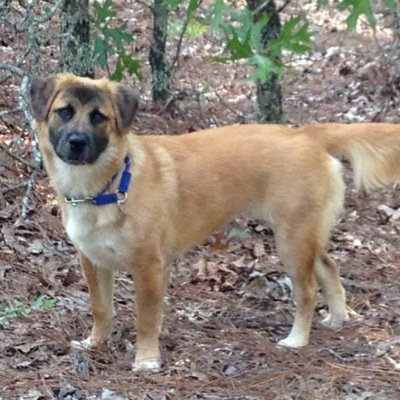 Profile Picture of Nick Propst (@balloonman01) on Twitter