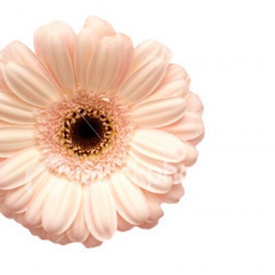 Profile Picture of Team H-E (@KateMattOscar) on Twitter