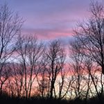 Profile Picture of Steve Hofer (@steveofthemounties) on Instagram
