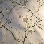 Zolee&SteveCouture - Instagram Profile Picture of Zolee&SteveCouture (@zoleestevecouture) on Instagram