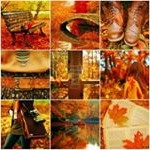 Profile Picture of James Moore (@nasonovdocasimir) on Instagram