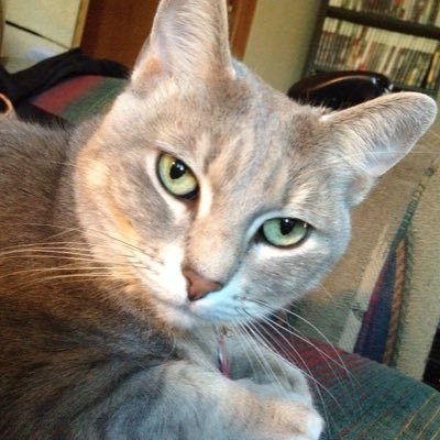 Profile Picture of Kate Hutson (@Khutson7) on Twitter