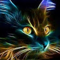 Profile Picture of Janet Plunkett (@janet-plunkett-5) on Quora