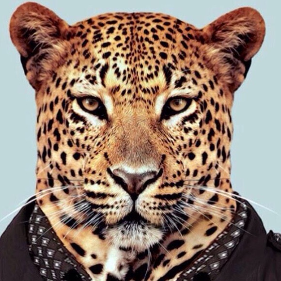 Profile Picture of Zac Stumbaugh (@zstumbaugh) on Poshmark