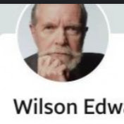 Profile Picture of Wilson Edwards (@user-vnigxintpc) on Youtube