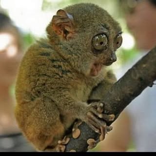 Profile Picture of Matt Escalante (@mattescalante) on Instagram