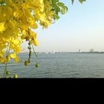Profile Picture of jimmie_fowlerd (@jimmie_fowlerd) on Instagram
