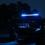 Profile Picture of Collin Quigley (@beartrapjku) on Instagram