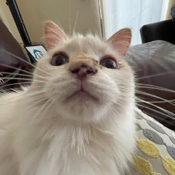 Skyler Mlodzinski - Poshmark Profile Picture of Skyler Mlodzinski (@s_mlodzinski) on Poshmark