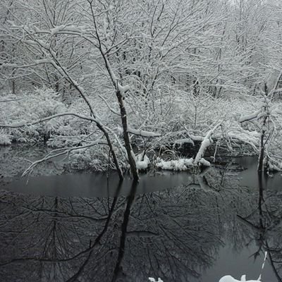 Profile Picture of Tammy Clough (@tammyclough2) on Twitter