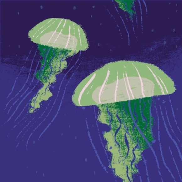 Profile Picture of Isabella Alvarez (@isabellaalva173) on Poshmark