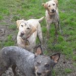 Profile Picture of Darrin (@darrin.lucas) on Instagram