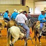 Profile Picture of Rex Malone (@rexmalone) on Instagram