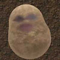 Profile Picture of Jerry Solomon (@jerry-solomon-41) on Quora