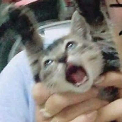 Profile Picture of Machurat (@svrv1288325) on Twitter