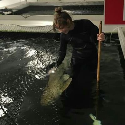 Profile Picture of Linda Zaal (@LindaZaal) on Twitter