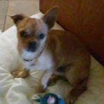 Profile Picture of JJ Steele (@jj.steele.54) on Facebook