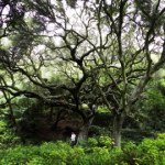 Profile Picture of Joshua O'Neill (@jjoneill34) on Instagram