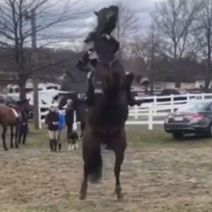 Profile Picture of a and e (@arenasandeaters) on Tiktok