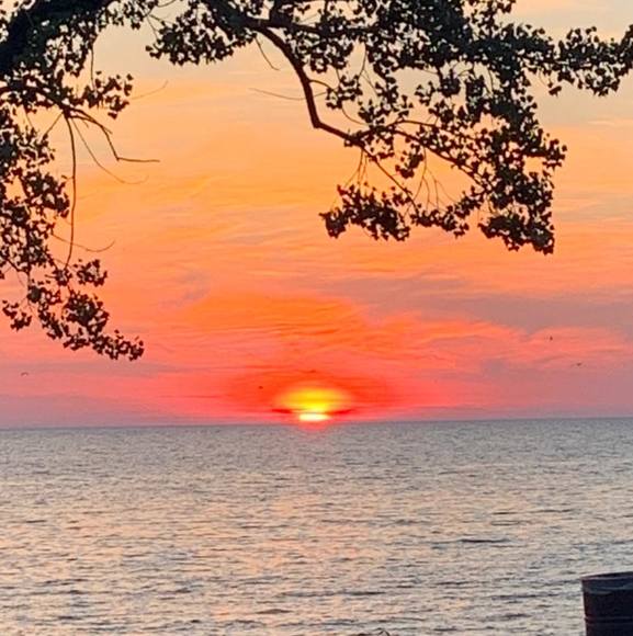 Brenna Wright - Poshmark Profile Picture of Brenna Wright (@bwright513) on Poshmark