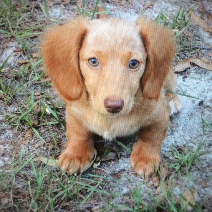 Profile Picture of jason whitmer (@jasonwhitmer) on Tiktok