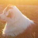 Profile Picture of Richard Fugate (@rrichh67) on Instagram