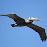 Profile Picture of David Heffner (@davidheffner1243) on Pinterest