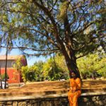 Profile Picture of Aneesha (@aneesha__thomas) on Instagram