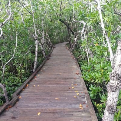 Profile Picture of Andrew Campione (@CampioneAndrew) on Twitter