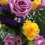 Profile Picture of Marilyn Grippo (@marilyn.grippo.3) on Facebook