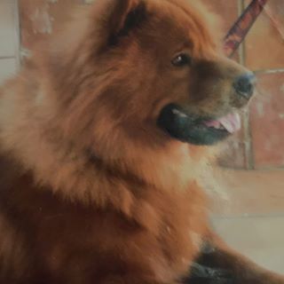 James Bicher - Facebook Profile Picture of James Bicher (@James-Bicher) on Facebook