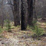 Profile Picture of Earles (@earlesbrianec13) on Instagram