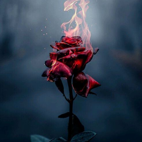 Profile Picture of lis salgar (@lis.salgar) on Tiktok