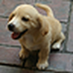 Profile Picture of wei chee lim (@yuyu1981) on Flickr