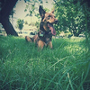 Profile Picture of Harper Mac (@helloharpermac) on Flickr