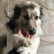 Profile Picture of Jack Sebastian (@jacksebastian9462) on Youtube