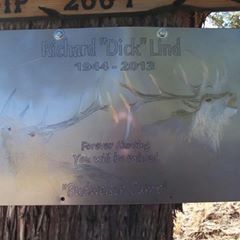 Profile Picture of Corey Lind (@coreylind) on Tiktok