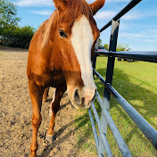 Profile Picture of Mckenzie Wilson (@MckenzieWilson-m5b) on Youtube