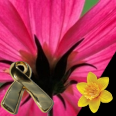 Profile Picture of Marian James (@marianjames) on Twitter