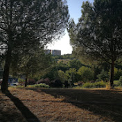 Profile Picture of Jared Rodriguez (@jaredrodriguez9909) on Youtube