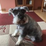 Profile Picture of Rufus Simpson (@rufus_simpson) on Instagram