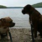 Profile Picture of Sean Burney (@seanburney) on Instagram