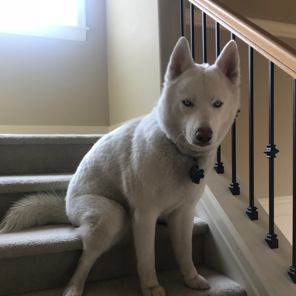 Profile Picture of Leah Gregory (@genitileah) on Poshmark