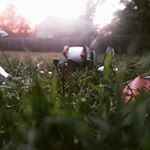 Profile Picture of andrew heitmann (@rc_dummy) on Instagram