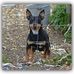 Profile Picture of John Norris (@john.norris.75491856) on Facebook